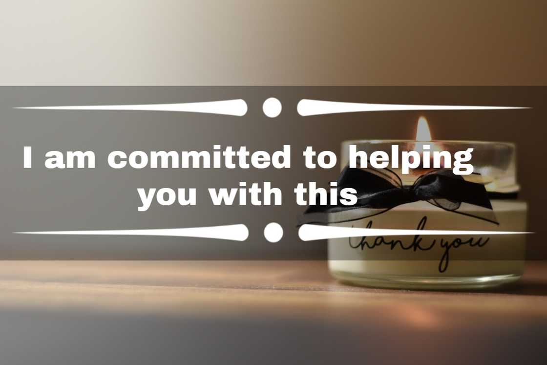 Thank you for your patience and understanding Thank you for your patience and understanding