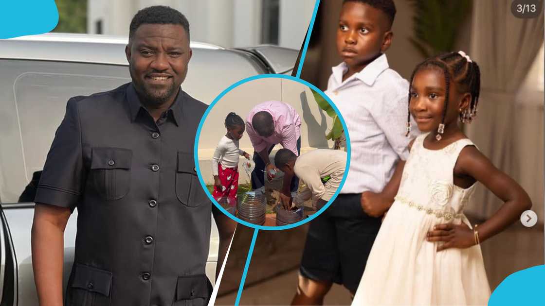 John Dumelo, Dumelo family, MP, Ayawaso West Wuogon, John Dumelo's children, Farming, John the farmer.
