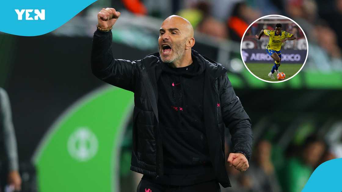 Enzo Maresca, Chelsea, Dario Essugo, Sporting CP, Premier League Enzo Maresca, Chelsea, Dario Essugo, Sporting CP, Premier League