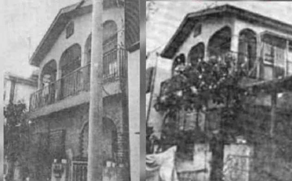 the junko furuta case the junko furuta case