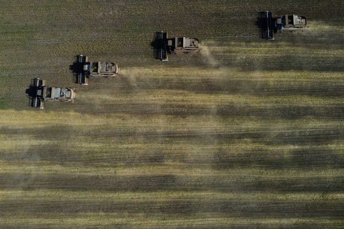 The EU had spared Russian grain from punitive measures to avoid the risk of destabilising world trade and hurting African and Asian countries dependent it. The EU had spared Russian grain from punitive measures to avoid the risk of destabilising world trade and hurting African and Asian countries dependent it.