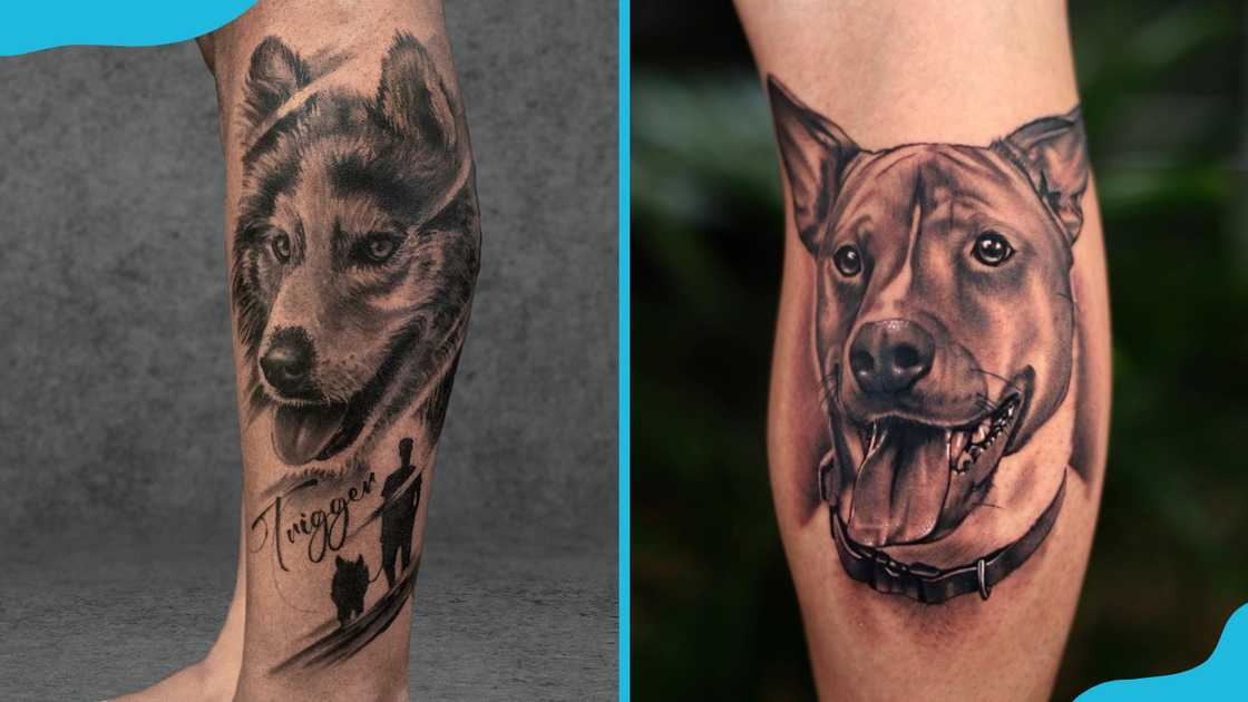 Realistic dog portrait memorial tattoo Realistic dog portrait memorial tattoo