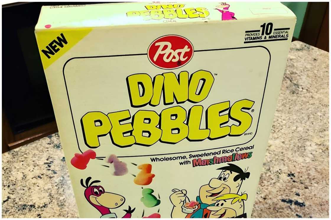 Dino Pebbles