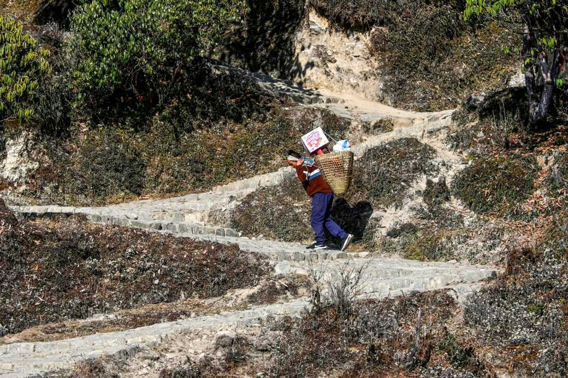 A porter carries supplies along a path leading to the Pathibhara Devi temple A porter carries supplies along a path leading to the Pathibhara Devi temple