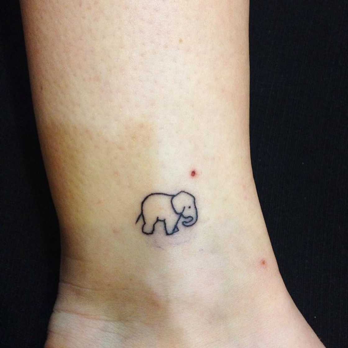 Elephant tattoo Elephant tattoo