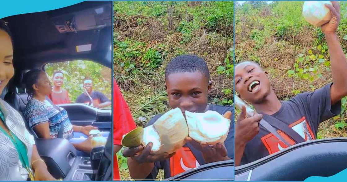 McBrown and vendor McBrown and vendor