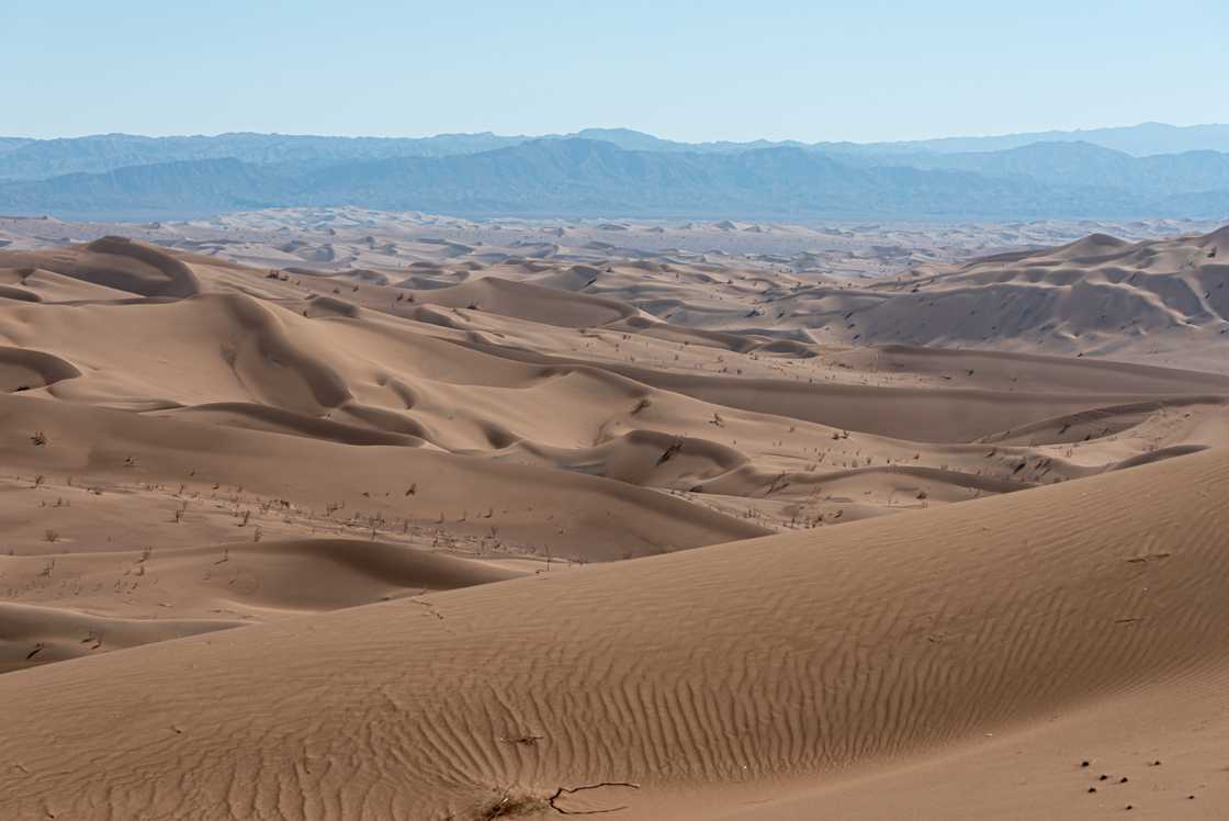 What is the driest desert in the world