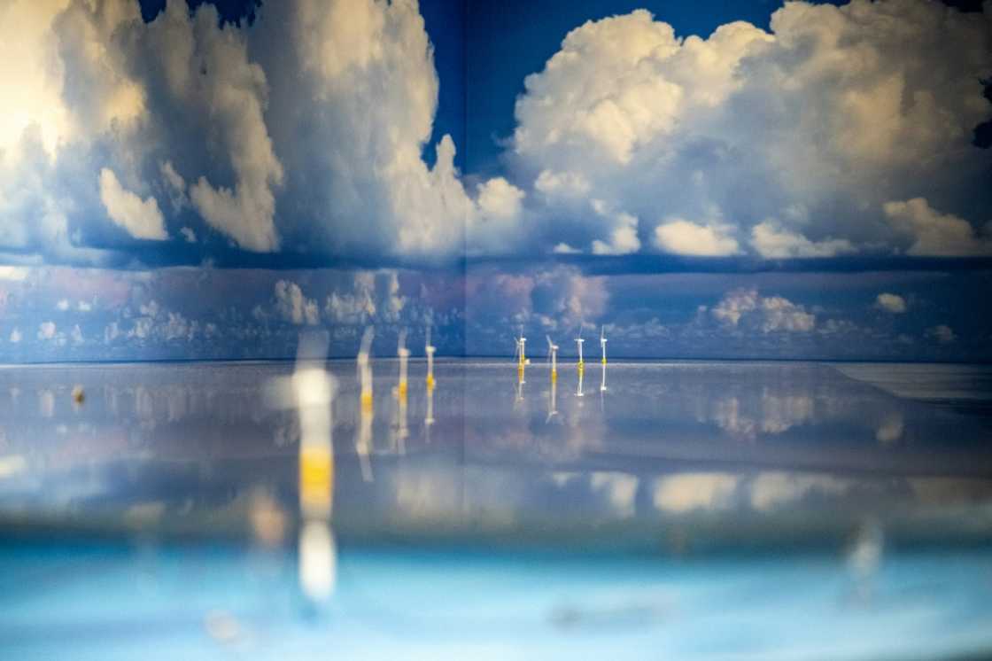 Japan is facing rising project costs and fears over inadequate infrastructure to produce turbines on mass