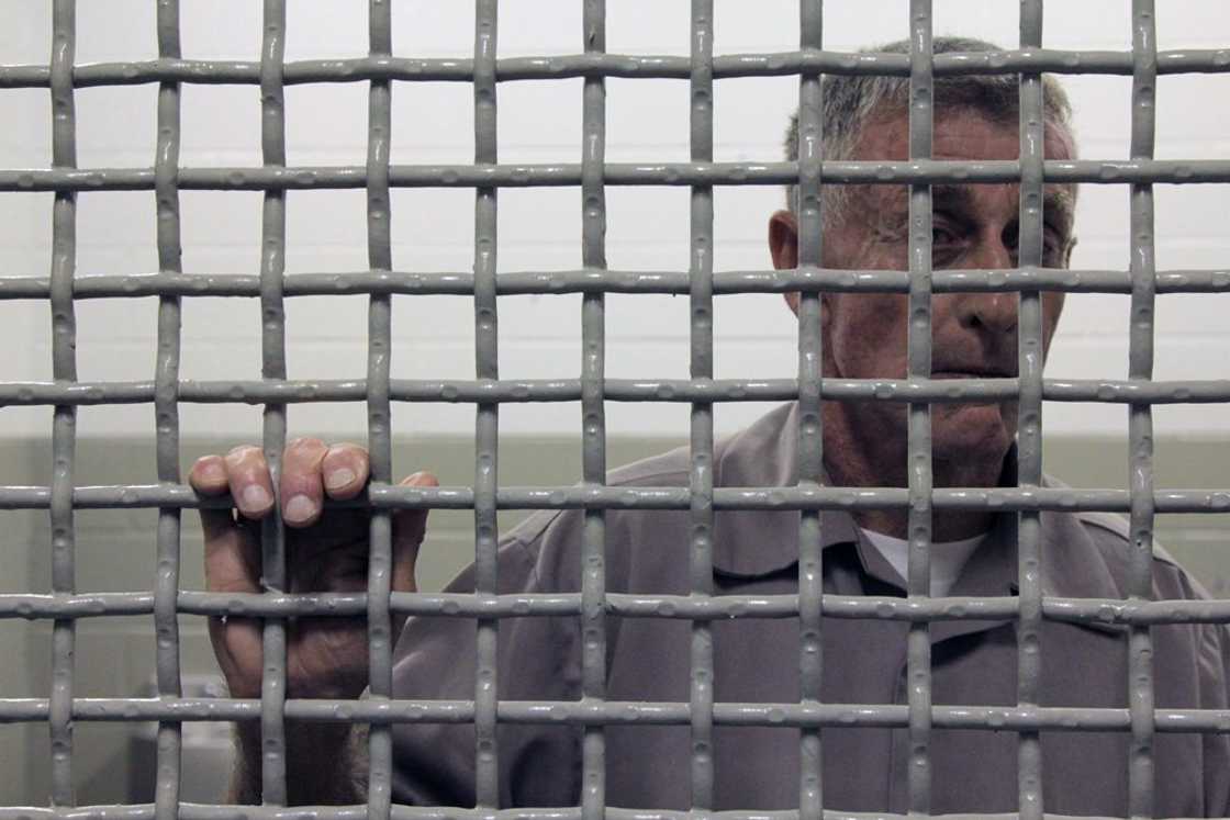 Michael Peterson Michael Peterson