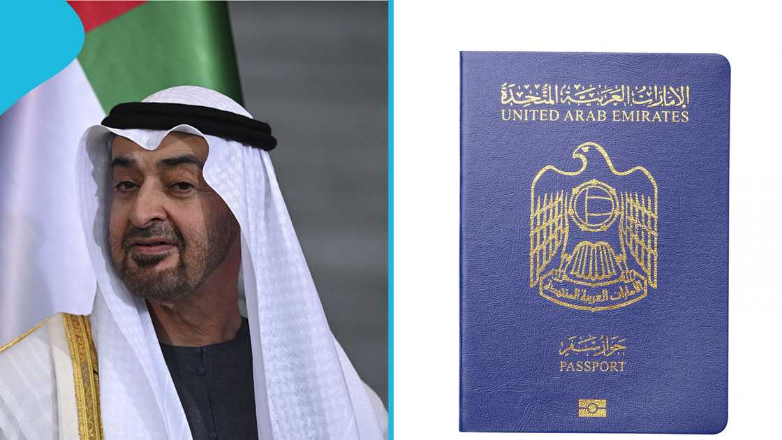 UAE visa extension, UAE residency visa, visa extension for divorced women, visa extension for widows, UAE visa rules, foreign women in the UAE, children on father's visa, residence visa without a sponsor UAE visa extension, UAE residency visa, visa extension for divorced women, visa extension for widows, UAE visa rules, foreign women in the UAE, children on father's visa, residence visa without a sponsor