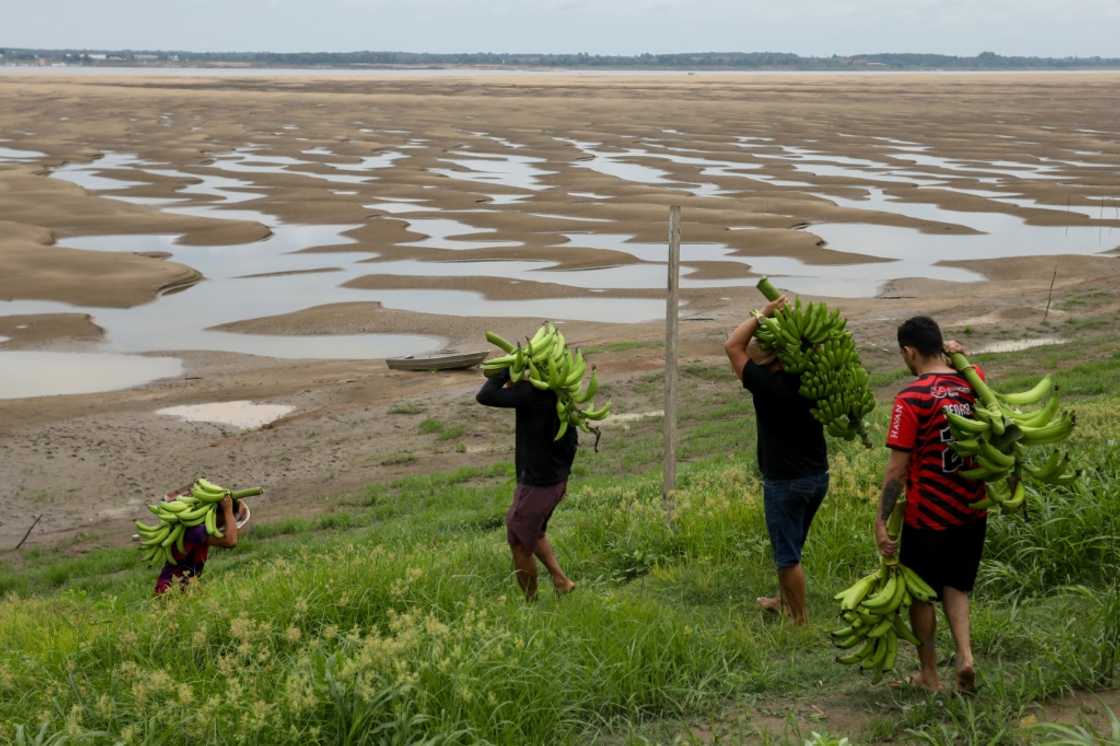 Researchers AFP spoke to said the effects of heat on economies of countries near the tropics is magnified, like the riverbank dwellers carrying banana produce in northern Brazil