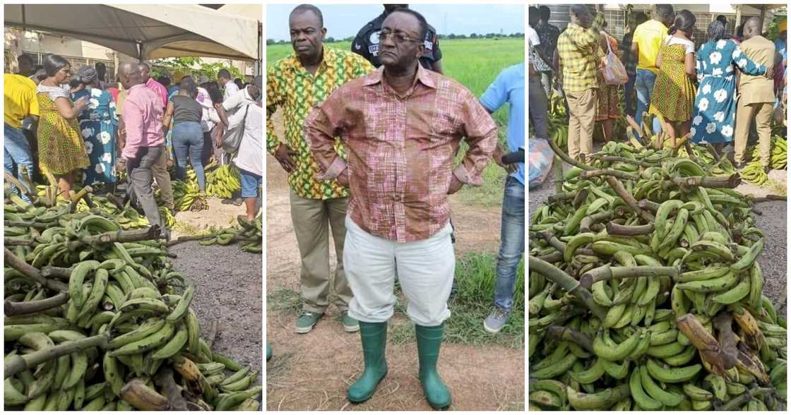 The agric ministry is selling food stuffs in a bid to cushion Ghanaians from inflation. The agric ministry is selling food stuffs in a bid to cushion Ghanaians from inflation.