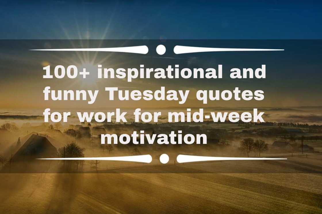 funny Tuesday quotes for work