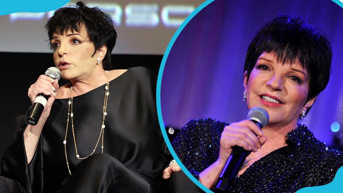 Liza Minnelli attending various functions