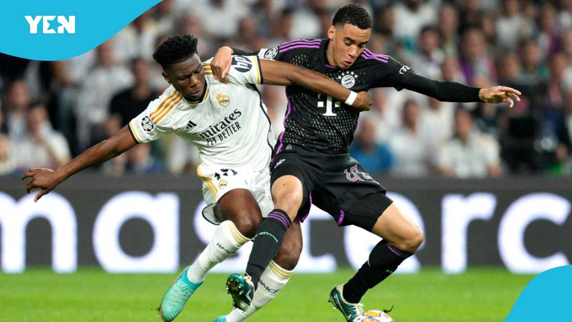 Real Madrid vs Bayern Munich, Champions League prediction, Nimbus Pronos cat, UEFA Champions League, viral cat predictions, Real Madrid history, Bayern Munich form, Champions League quarter-final preview.