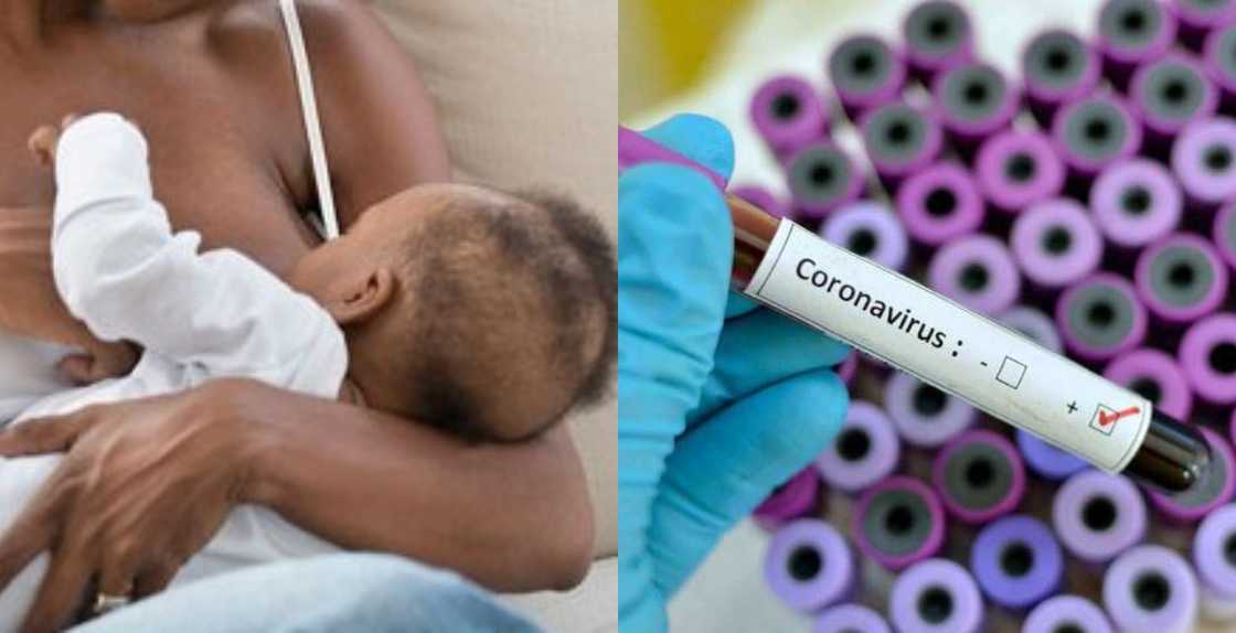 COVID-19: 11-day-old baby contracts virus at Komfo Anokye Teaching Hospital COVID-19: 11-day-old baby contracts virus at Komfo Anokye Teaching Hospital