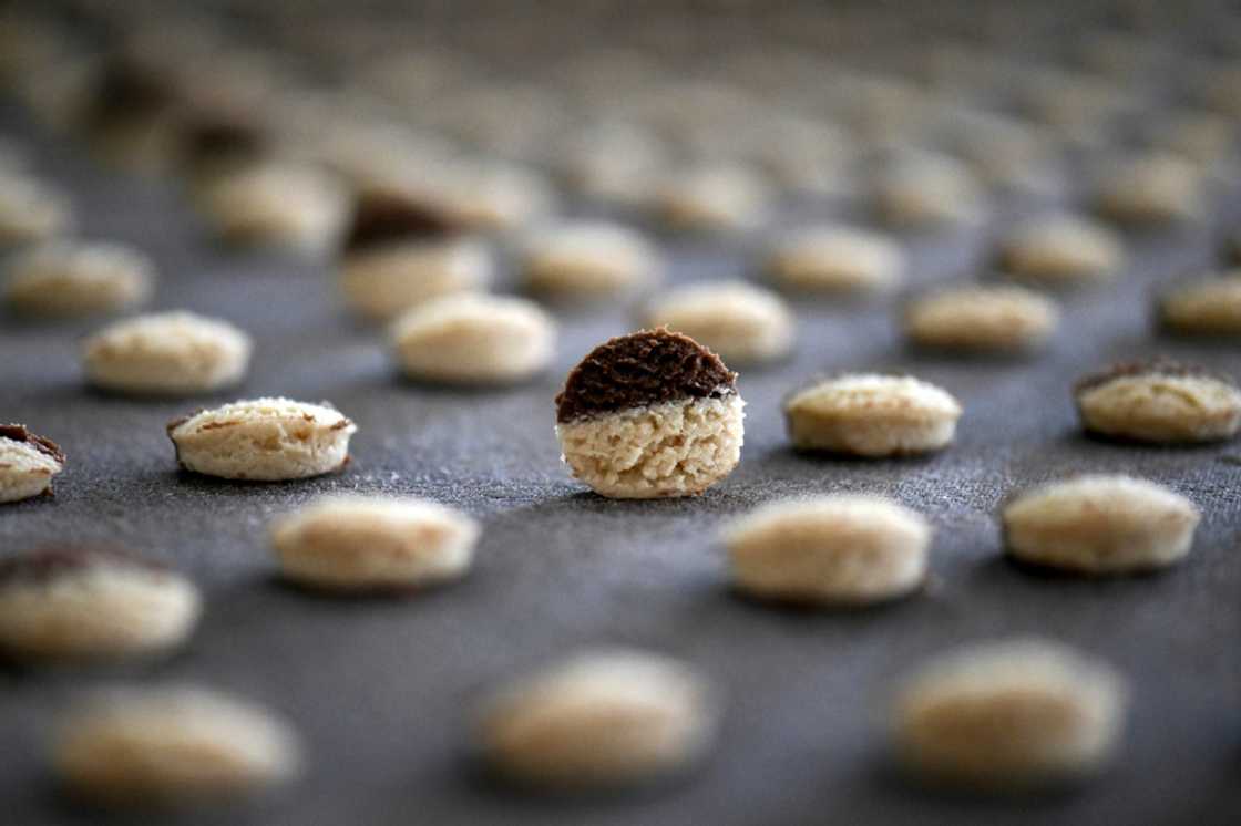 The Dulcypas cookie factory is working at half its capacity, having stopped two production lines The Dulcypas cookie factory is working at half its capacity, having stopped two production lines