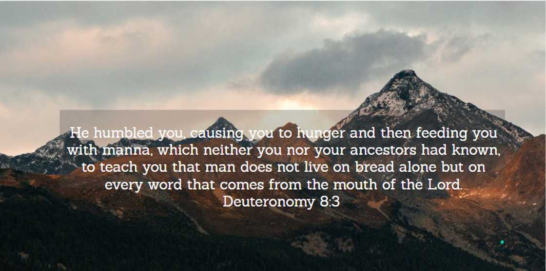 words of wisdom words of wisdom