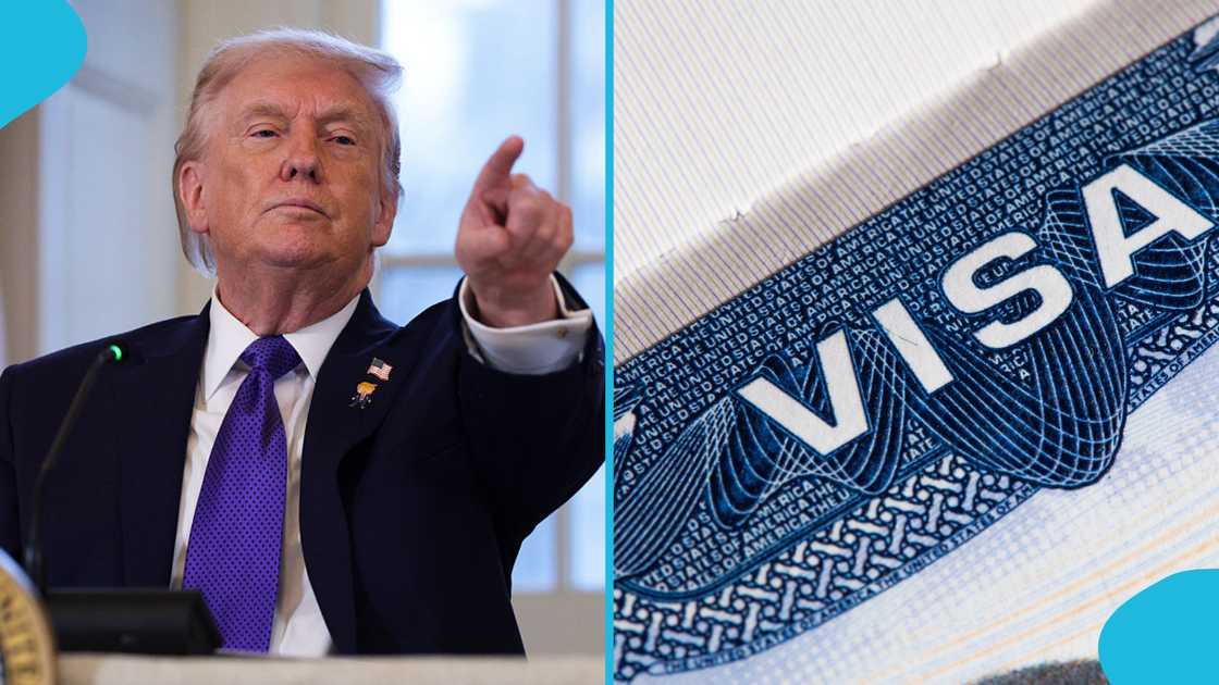 US Visa, Trump Suspends, Green Card Visa Scheme, Brown Shooting Incident. Immigration