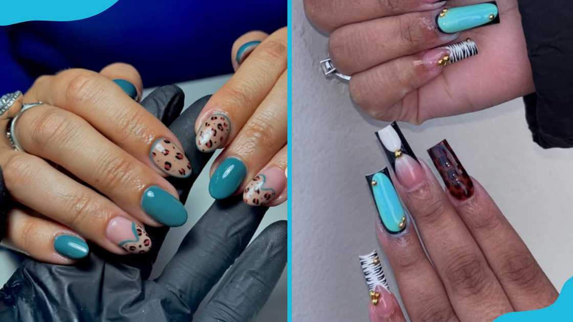 Teal and animal print nails Teal and animal print nails