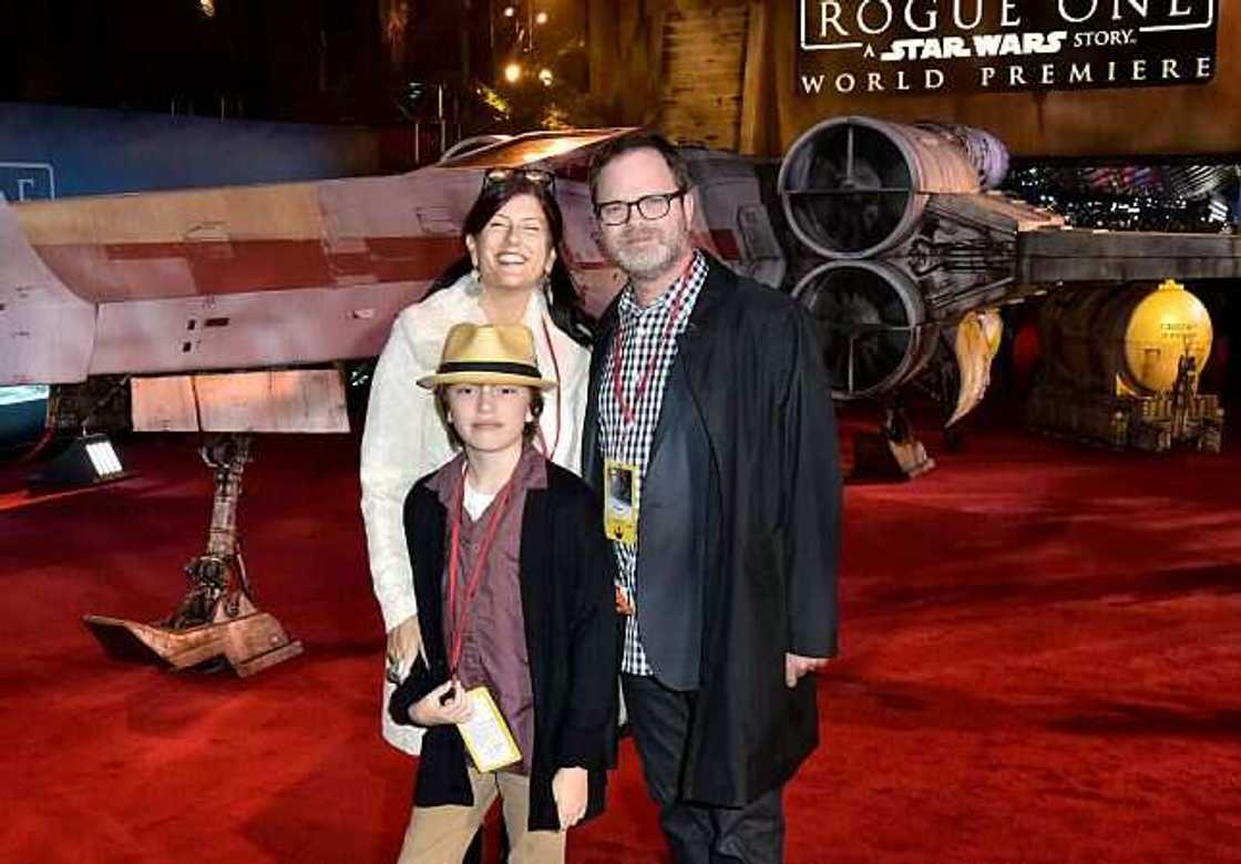 big cats holiday reinhorn big cats holiday reinhorn