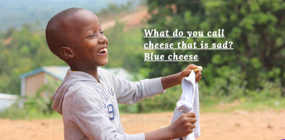 lunch box jokes for teens lunch box jokes for teens