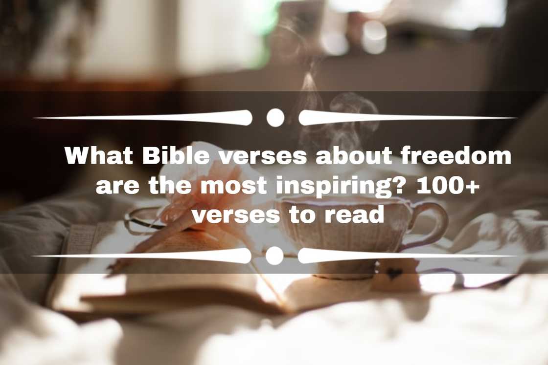 Bible verses about freedom Bible verses about freedom