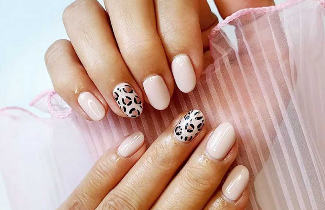 Short milky-pink nails with animal print Short milky-pink nails with animal print