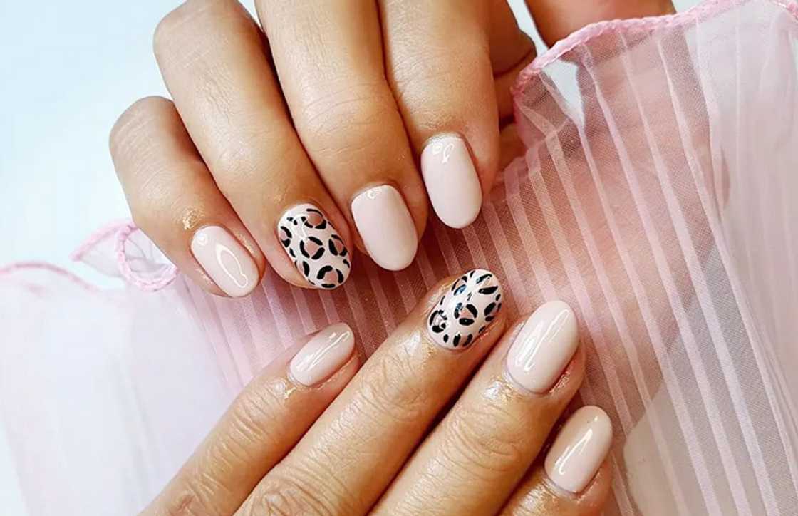 Short milky-pink nails with animal print