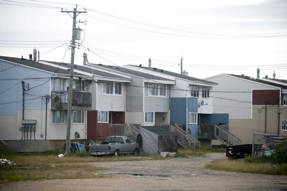 Around Churchill, the polar bear population hovers around 800, about the same number as human inhabitants of the town