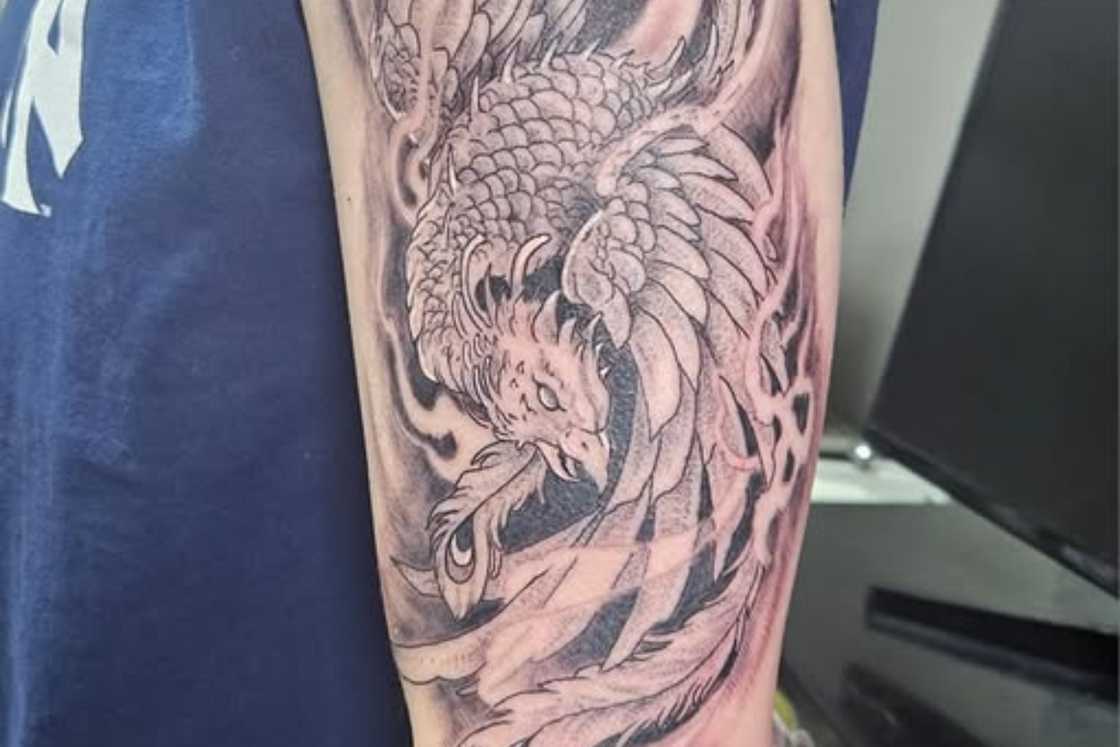 Traditional Japanese phoenix tattoo on the upper arm Traditional Japanese phoenix tattoo on the upper arm