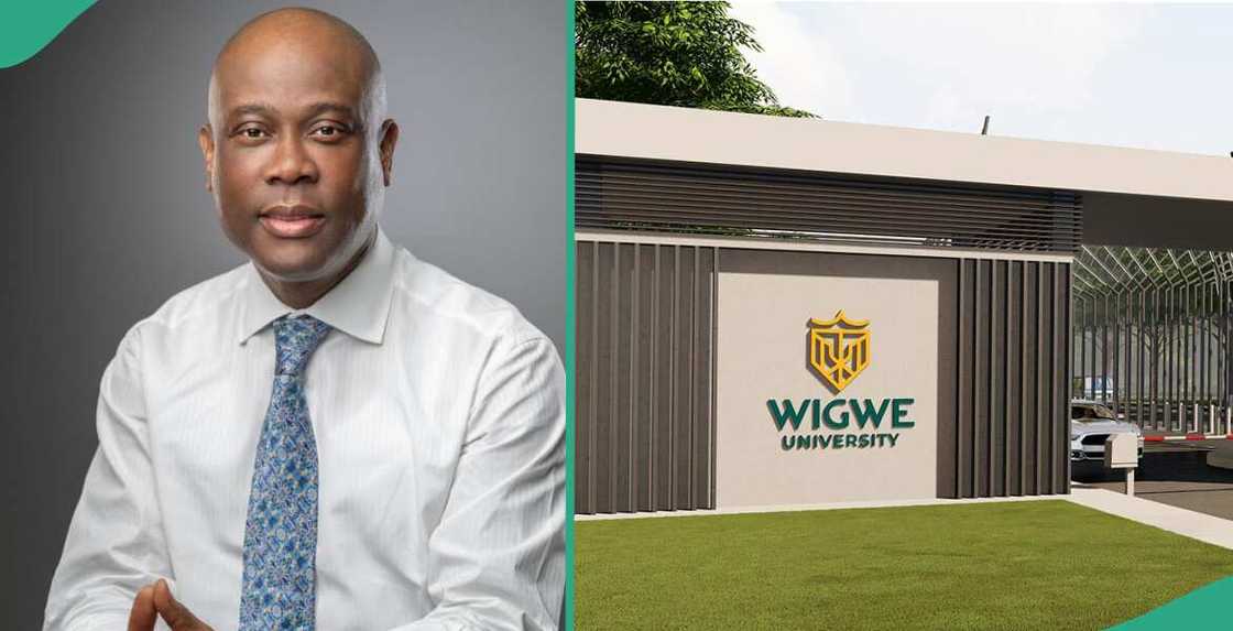 Wigwe University launches mascot full scholarship competition, here's how to apply Wigwe University launches mascot full scholarship competition, here's how to apply