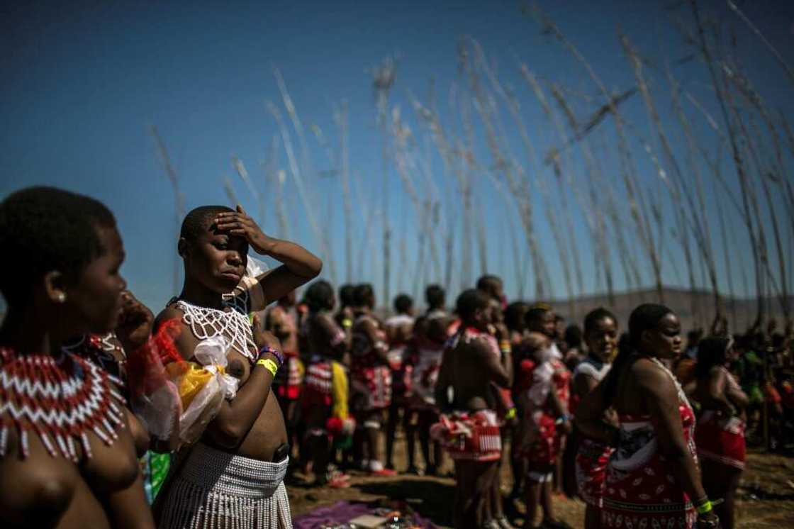 The young women participating in the traditional ceremony each carry a long reed The young women participating in the traditional ceremony each carry a long reed
