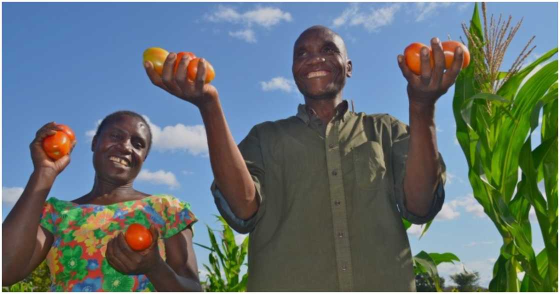 Happy farmers