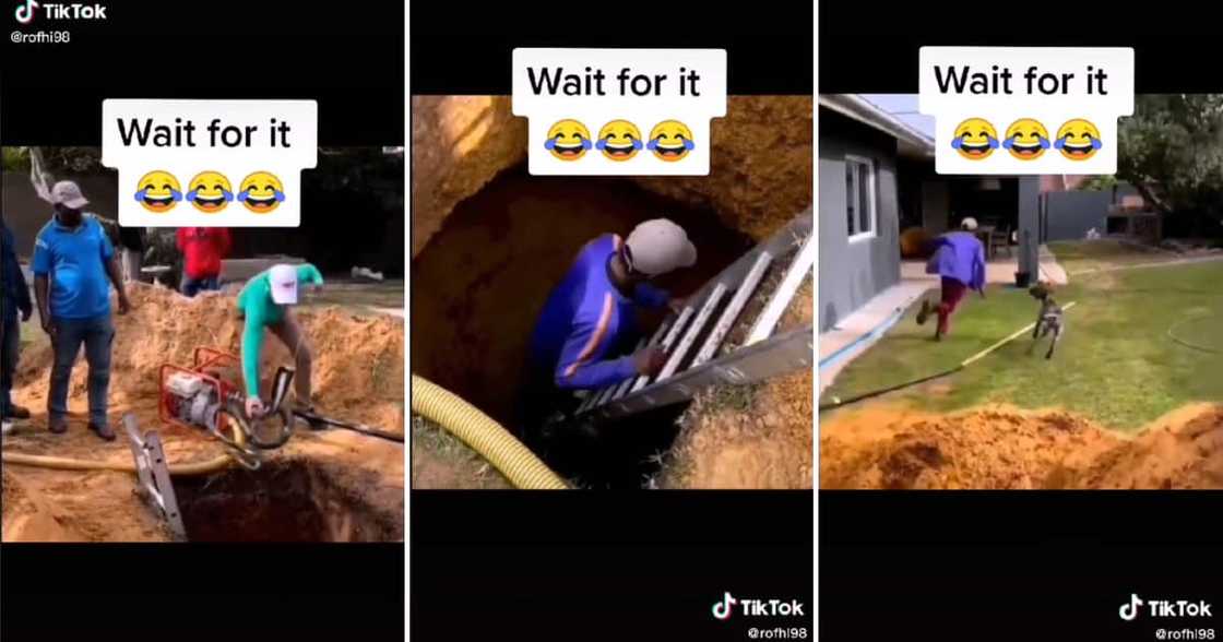 The poor man's finding had him climbing up like he was Spiderman. The poor man's finding had him climbing up like he was Spiderman.