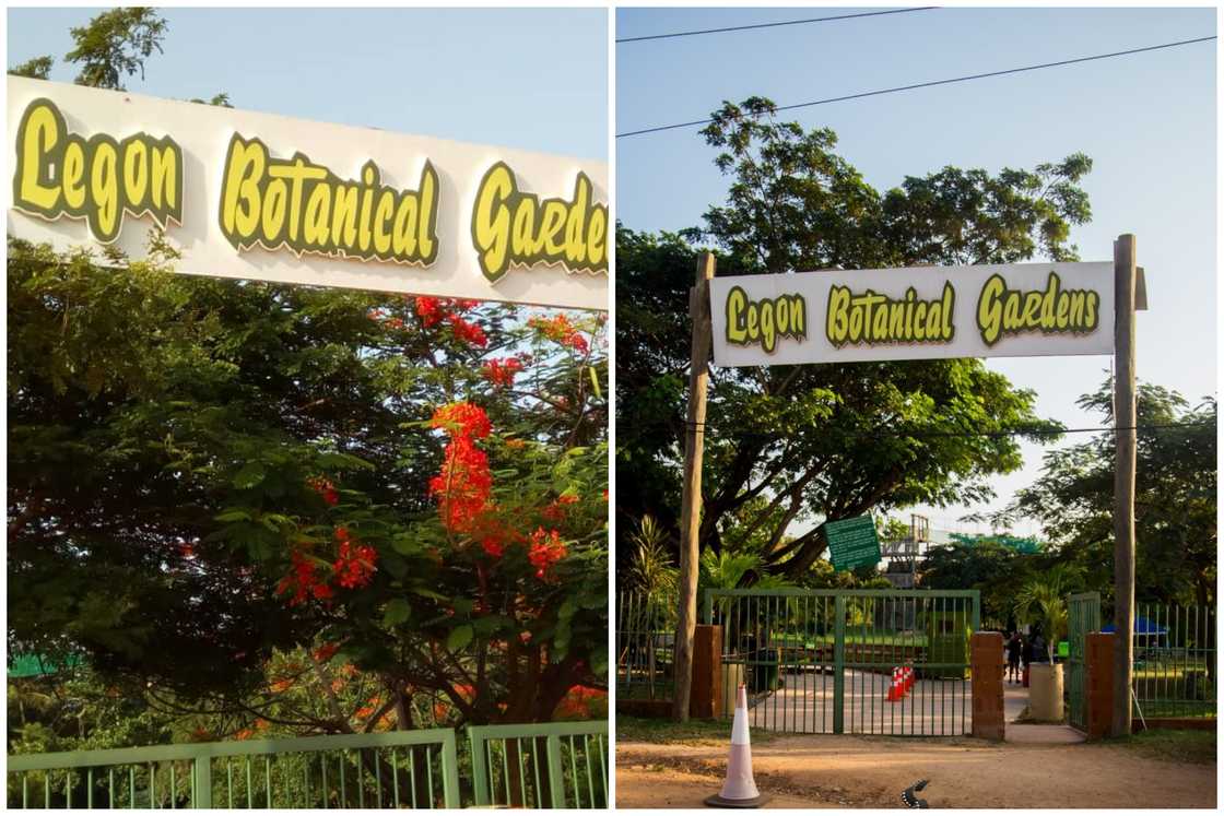 Legon Botanical Gardens Legon Botanical Gardens