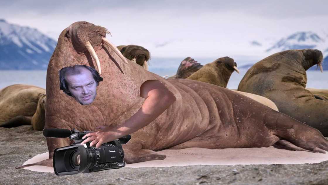 The most important image on the internet in 2022: 20 photos made famous by Google The most important image on the internet in 2022: 20 photos made famous by Google