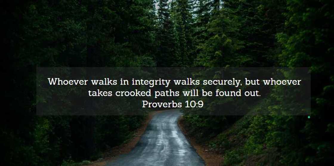 Words of wisdom Words of wisdom