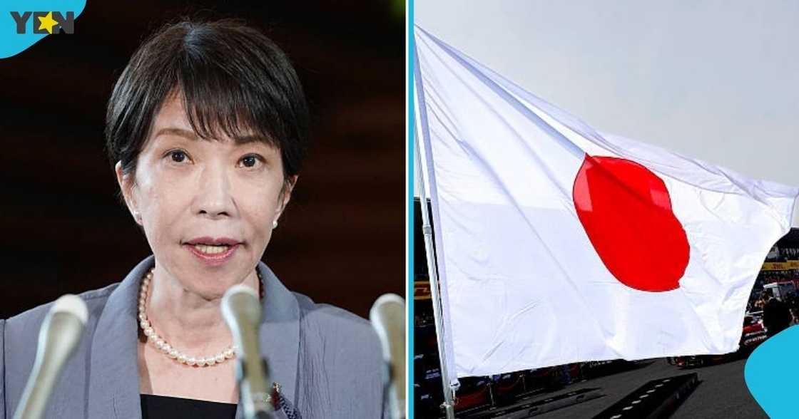 The Japanese authorities, Japan, 16 distinct categories, foreign workers, eligible to secure work visas, overseas professionals relocate and gain employment