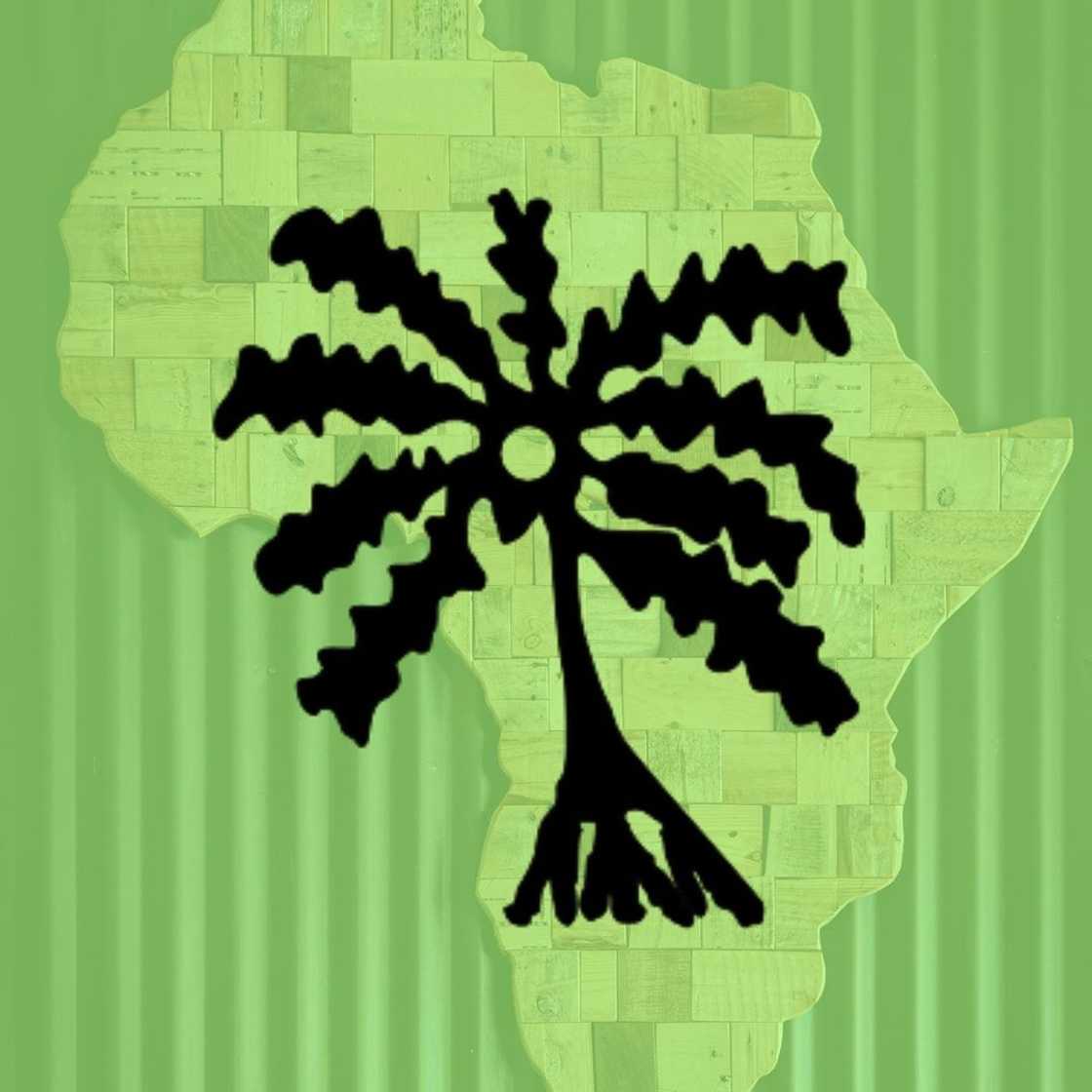 Adinkra symbols explained Adinkra symbols explained