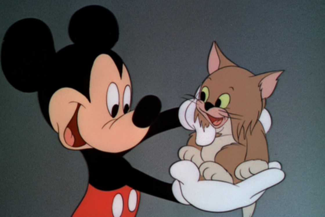 Mickey Mouse is holding the kitten Mickey Mouse is holding the kitten