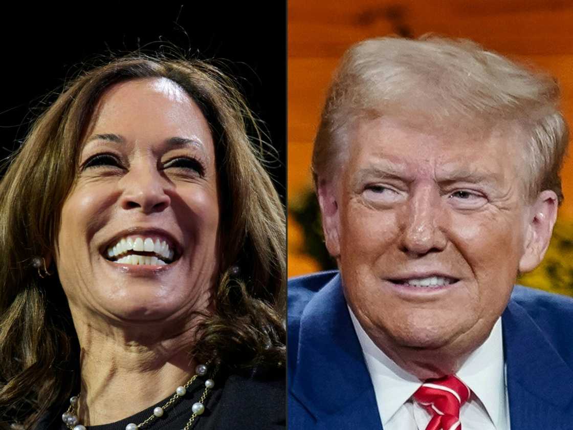 US Vice President and Democratic presidential candidate Kamala Harris and former US President and Republican presidential candidate Donald Trump are into the final stretch of campaigning ahead of the US elections on November 5 US Vice President and Democratic presidential candidate Kamala Harris and former US President and Republican presidential candidate Donald Trump are into the final stretch of campaigning ahead of the US elections on November 5