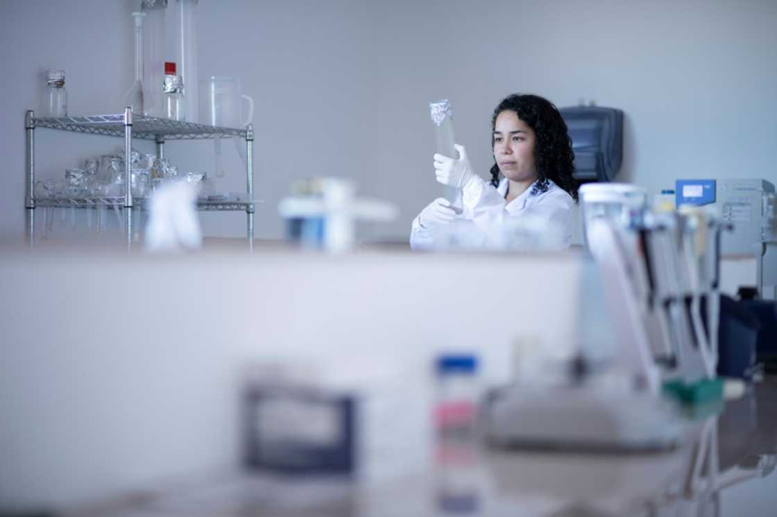 The Coffee Institute of Costa Rica (Icafe) is working on developing coffee plant hybrids that are more resistant The Coffee Institute of Costa Rica (Icafe) is working on developing coffee plant hybrids that are more resistant