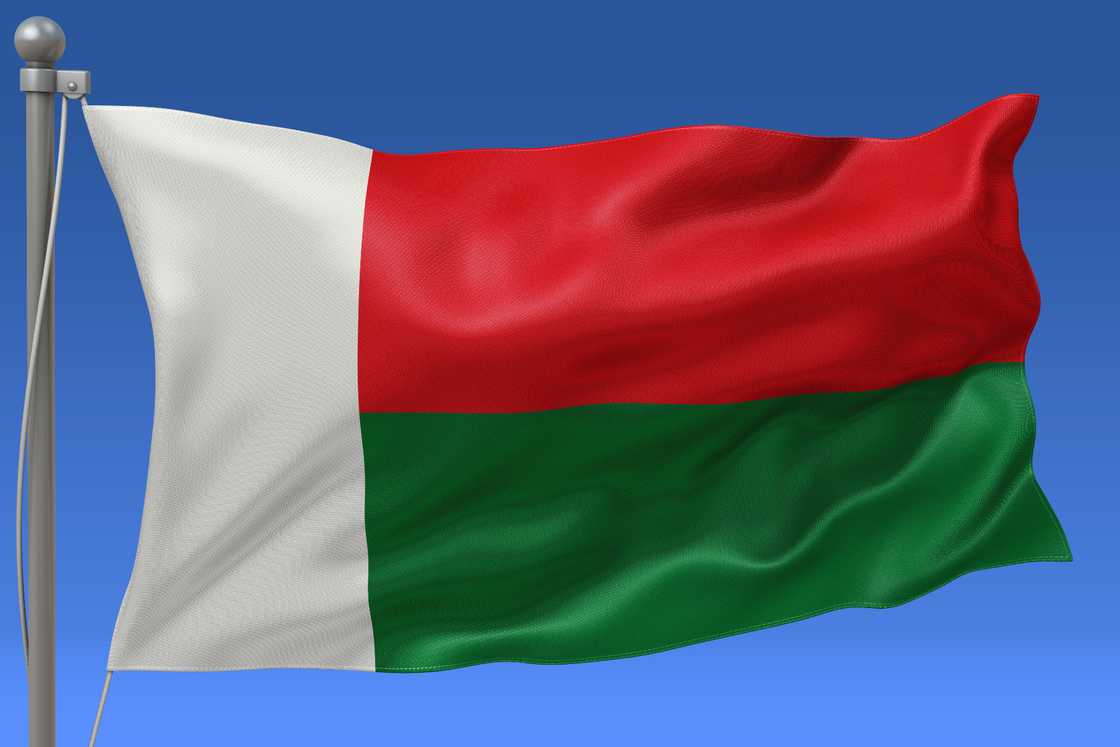 The flag of Madagascar The flag of Madagascar