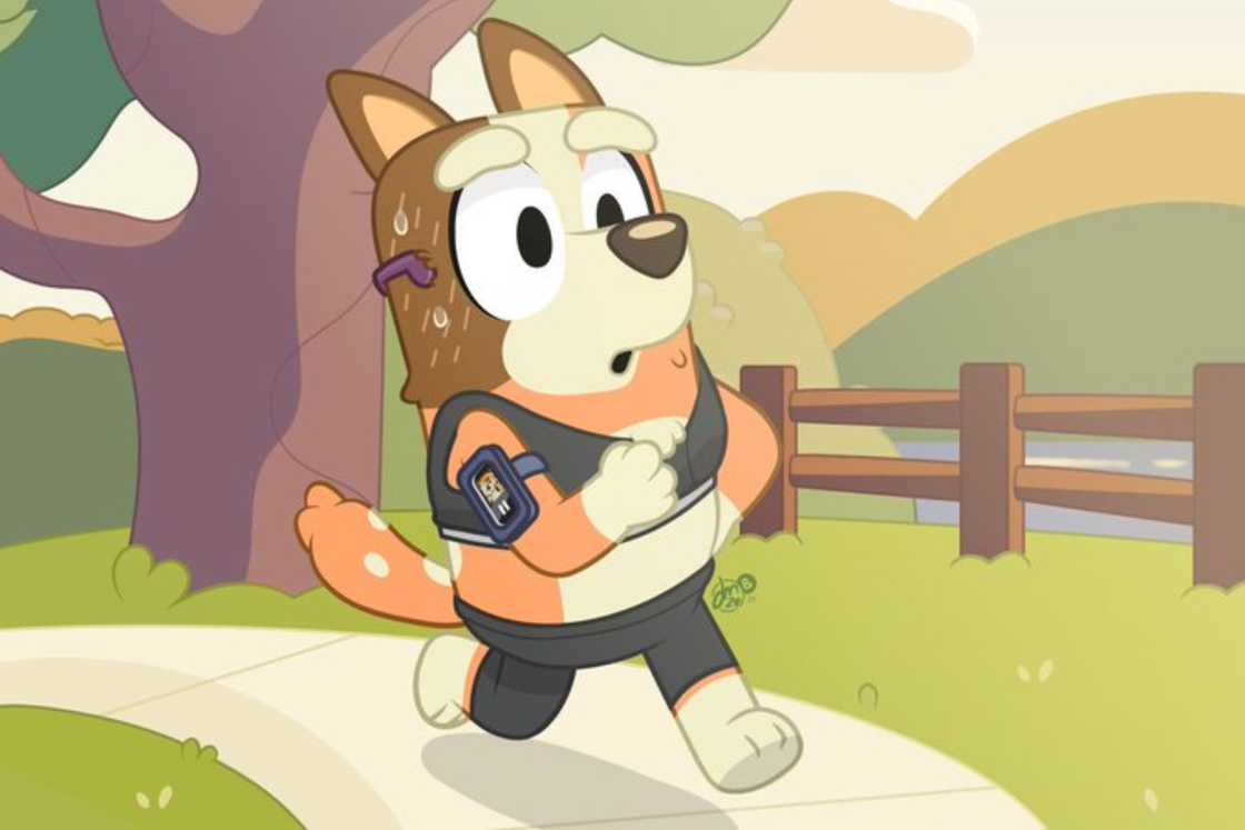 Chilli Heeler Chilli Heeler