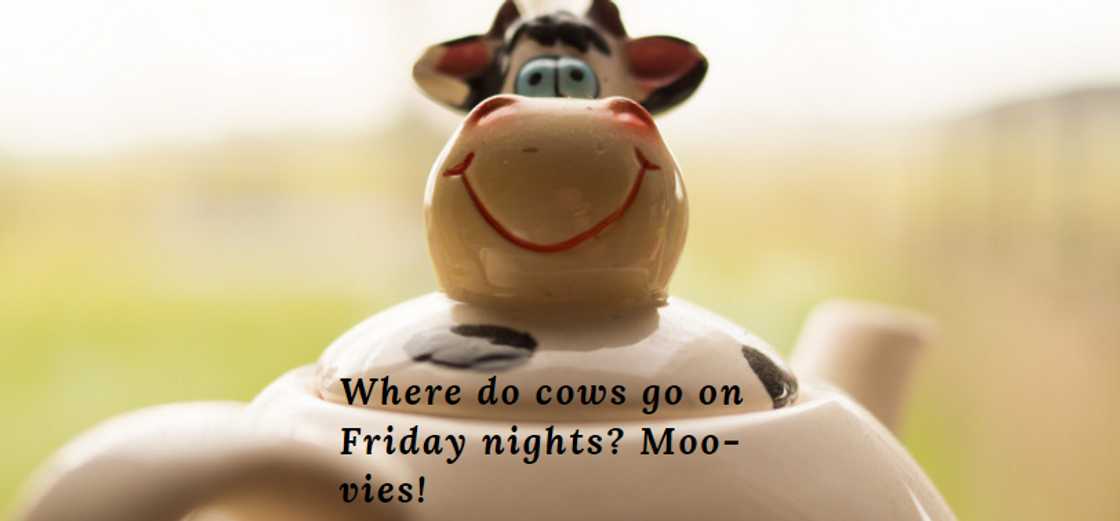 short jokes for teens short jokes for teens