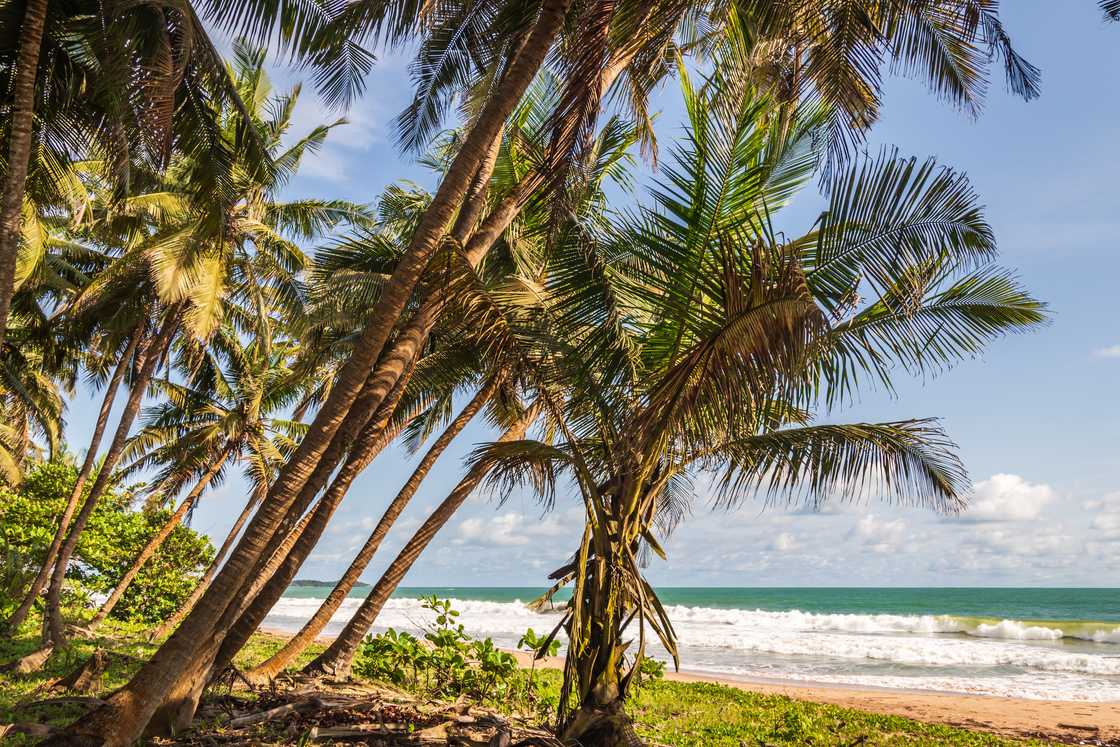 Africa tropical beach in Axim, Ghana