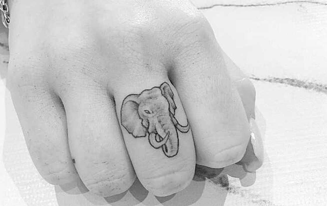 Elephant tattoo Elephant tattoo