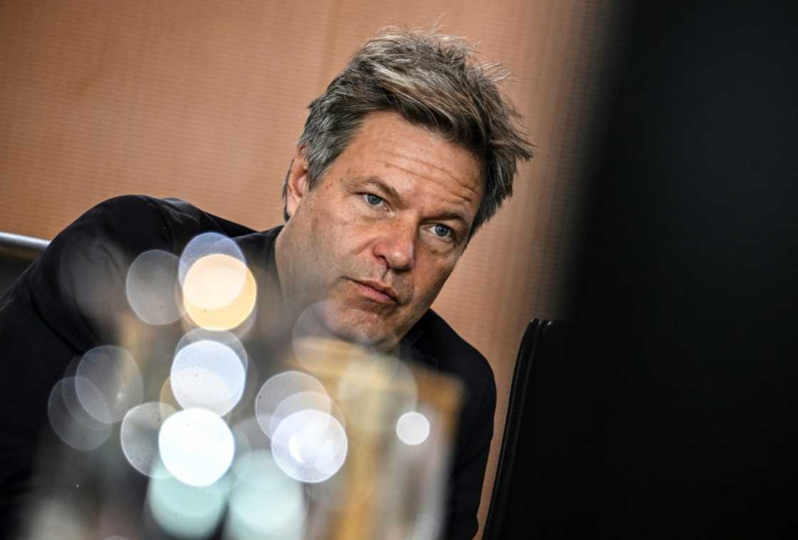 German Economy Minister Robert Habeck predicts the economy will pick up again in 2024