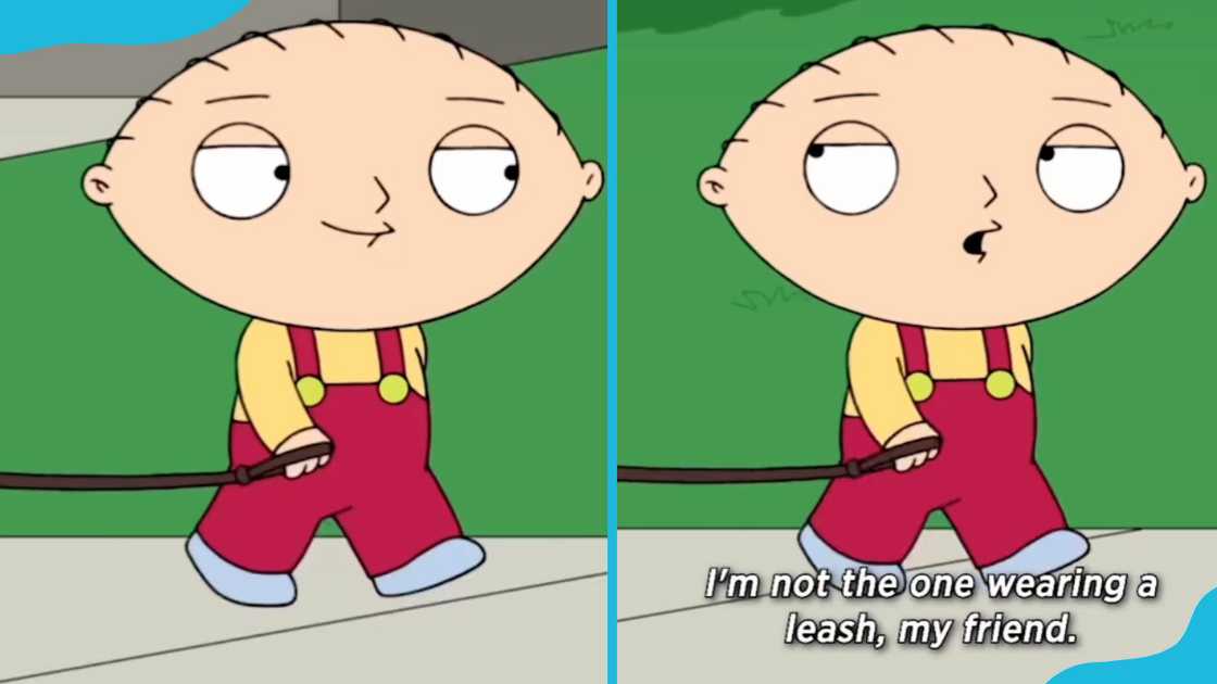 Stewie Griffin Stewie Griffin